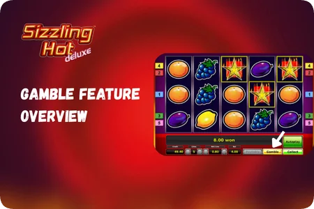 Gamble Feature Overview Sizzling Hot Deluxe